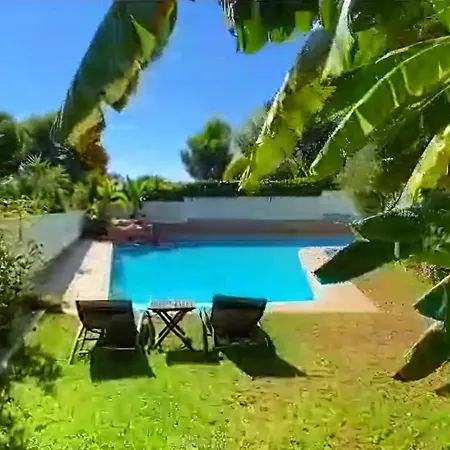 - Kitchen, Pool, Barbecue And Large Garden