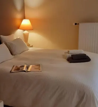 - Kitchen, Pool, Barbecue And Large Garden Homestay
